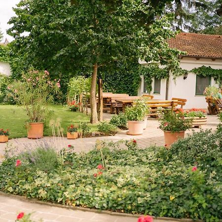 Hotel-Restaurant-Vinothek Felix Sommer Auersthal Exterior foto